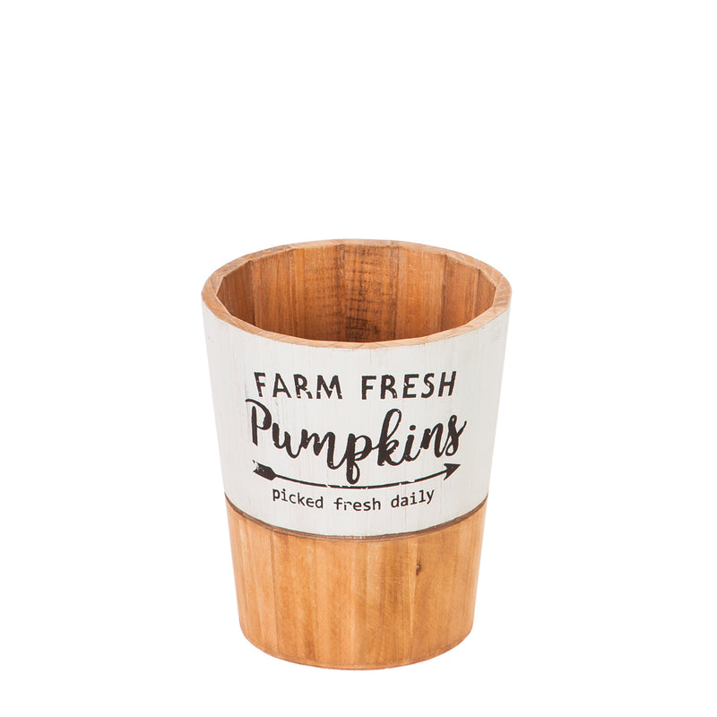 Fresh Picked Pumpkins, Wooden Planters - Monogram Market