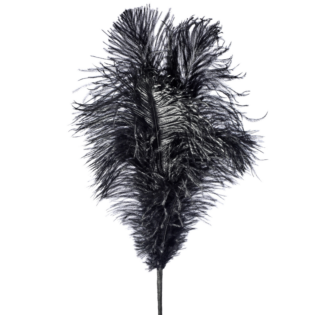 Ostrich Plume Feather Spray - Black, 22" - Monogram Market