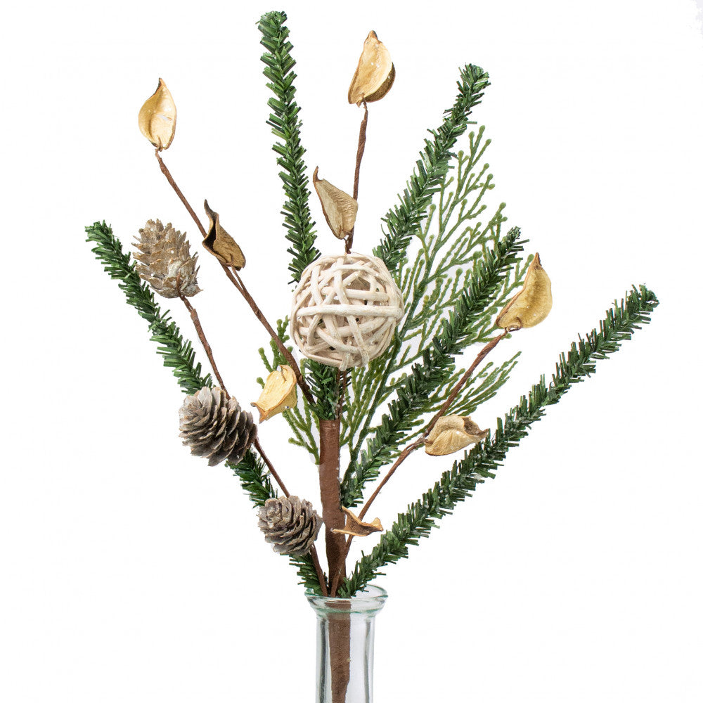 Pines with Rattan Ball and Birch Pick, 14" - Monogram Market