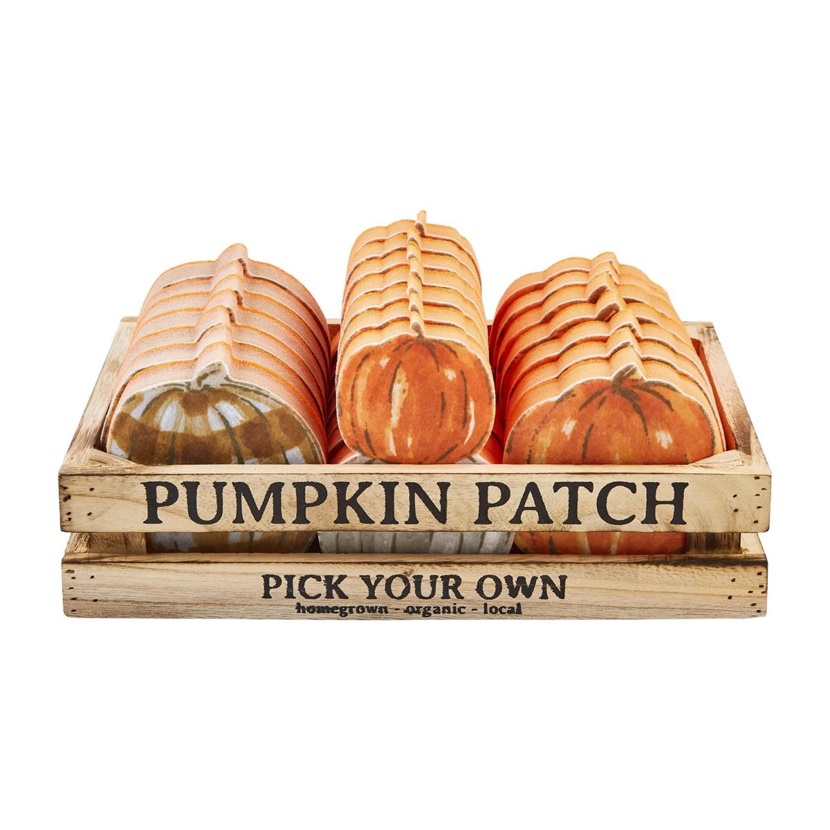 Mud Pie Fall Pumpkin Sponges