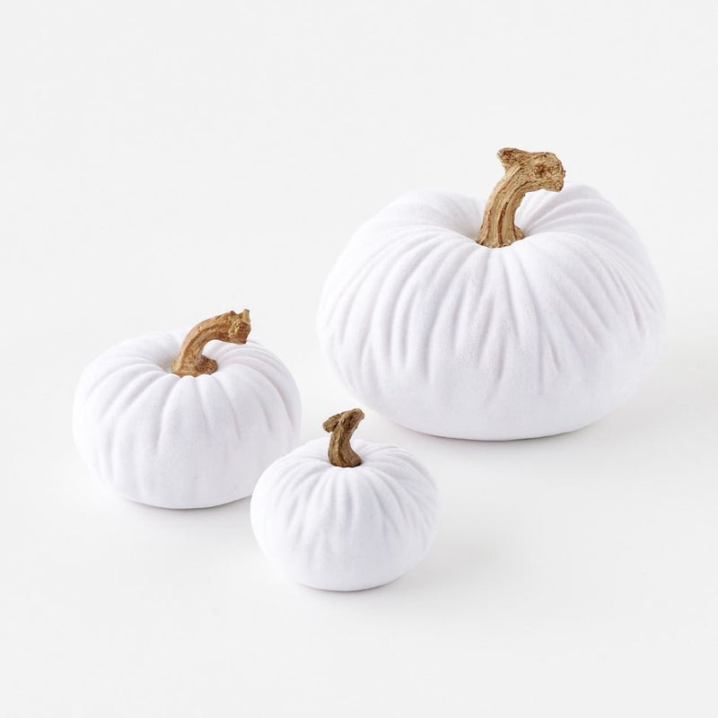 White Flocked Pumpkins - Monogram Market