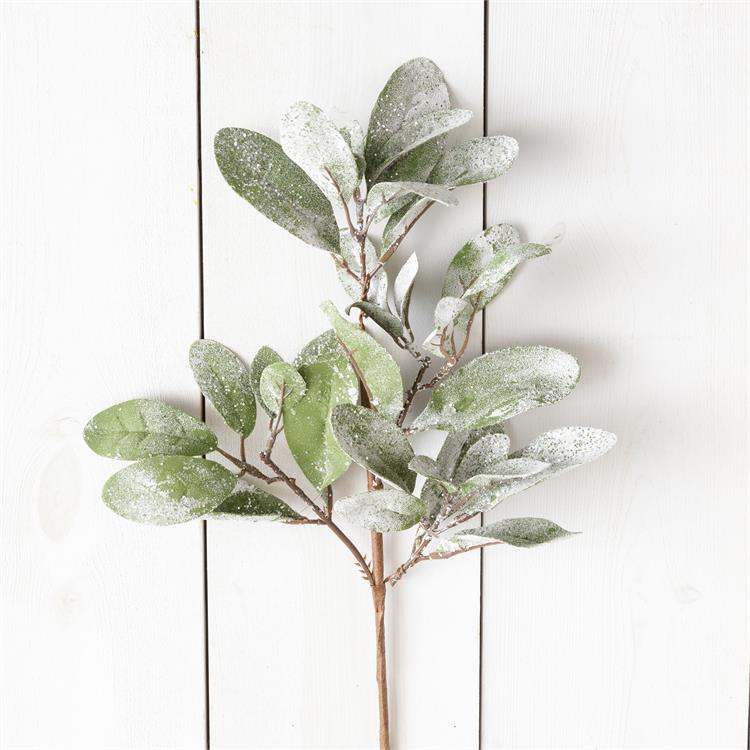 Frosted Lambs Ear Christmas Pick, 18" - Monogram Market