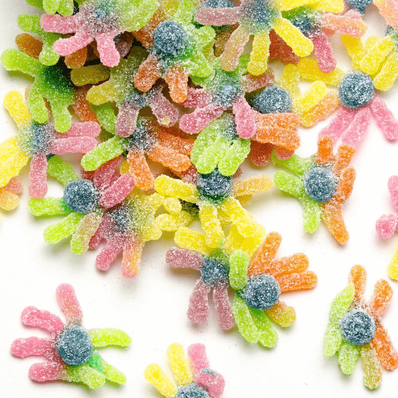 Candy Club - Sour Gummy Octopus - Monogram Market