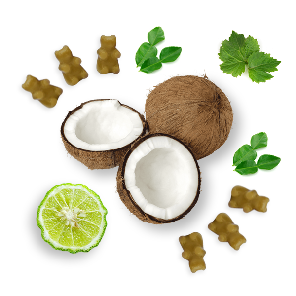 Bronzed Coconut Wax Melts - Thumbnail 4